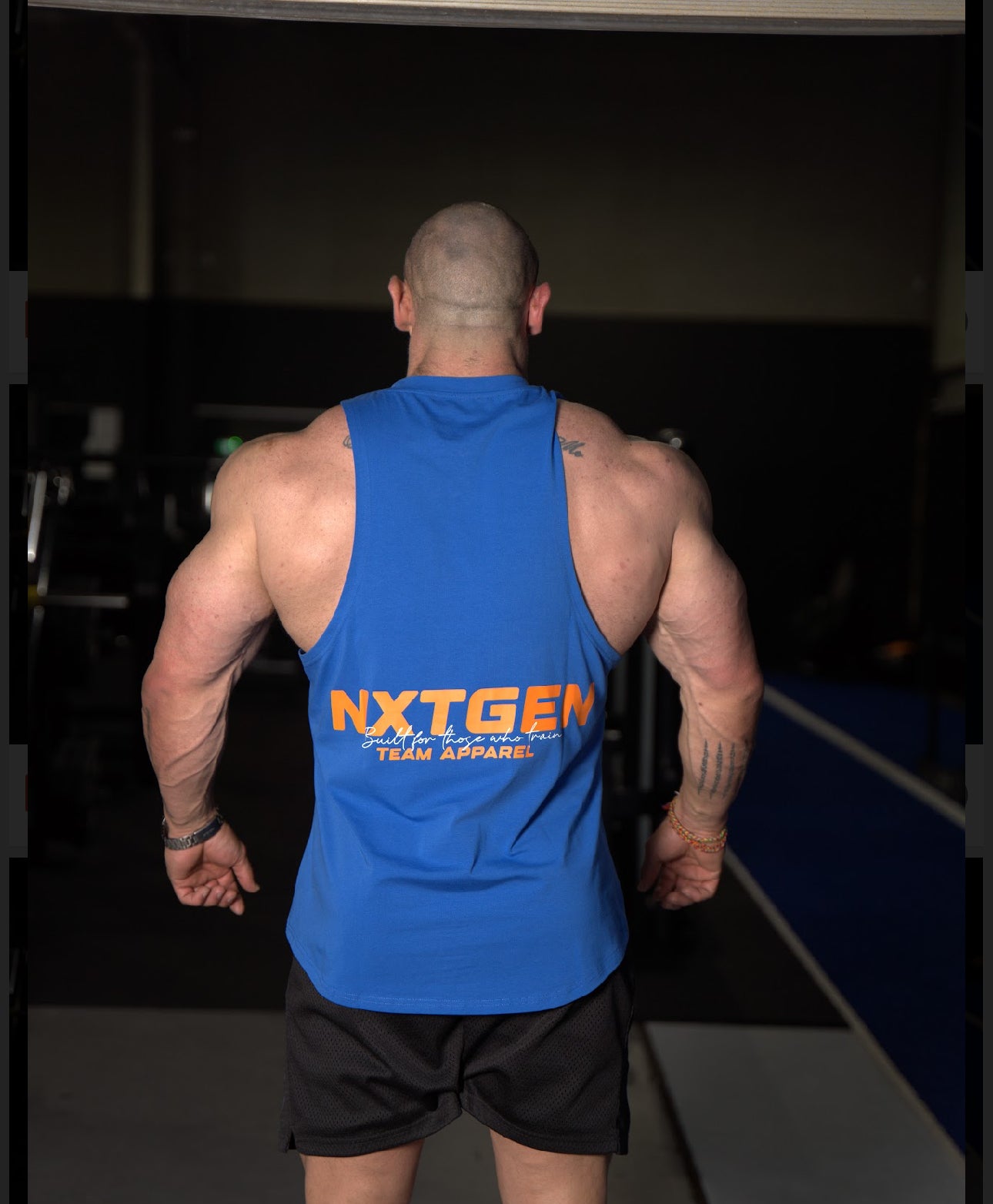 Aesthetic Boulder Tank