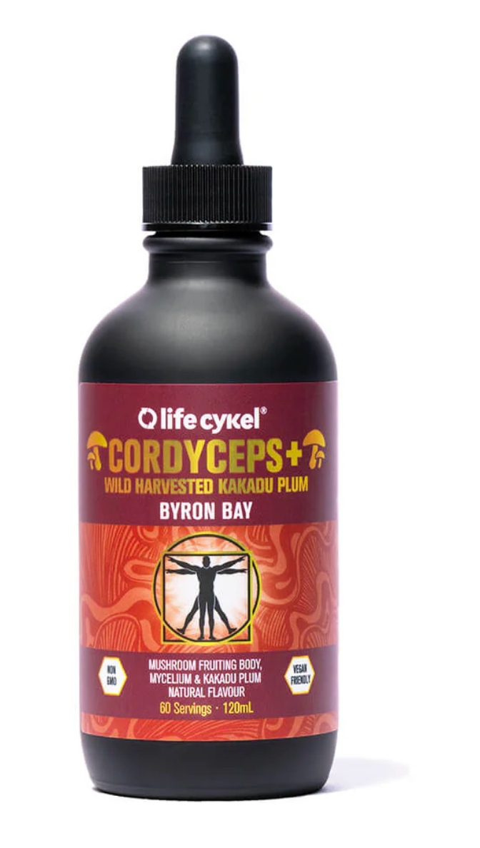 Life Cykel Codryceps