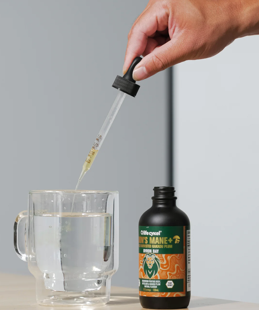 Life Cykel Lions Mane