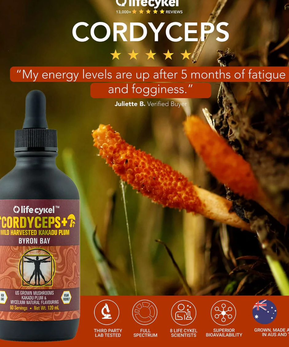 Life Cykel Codryceps