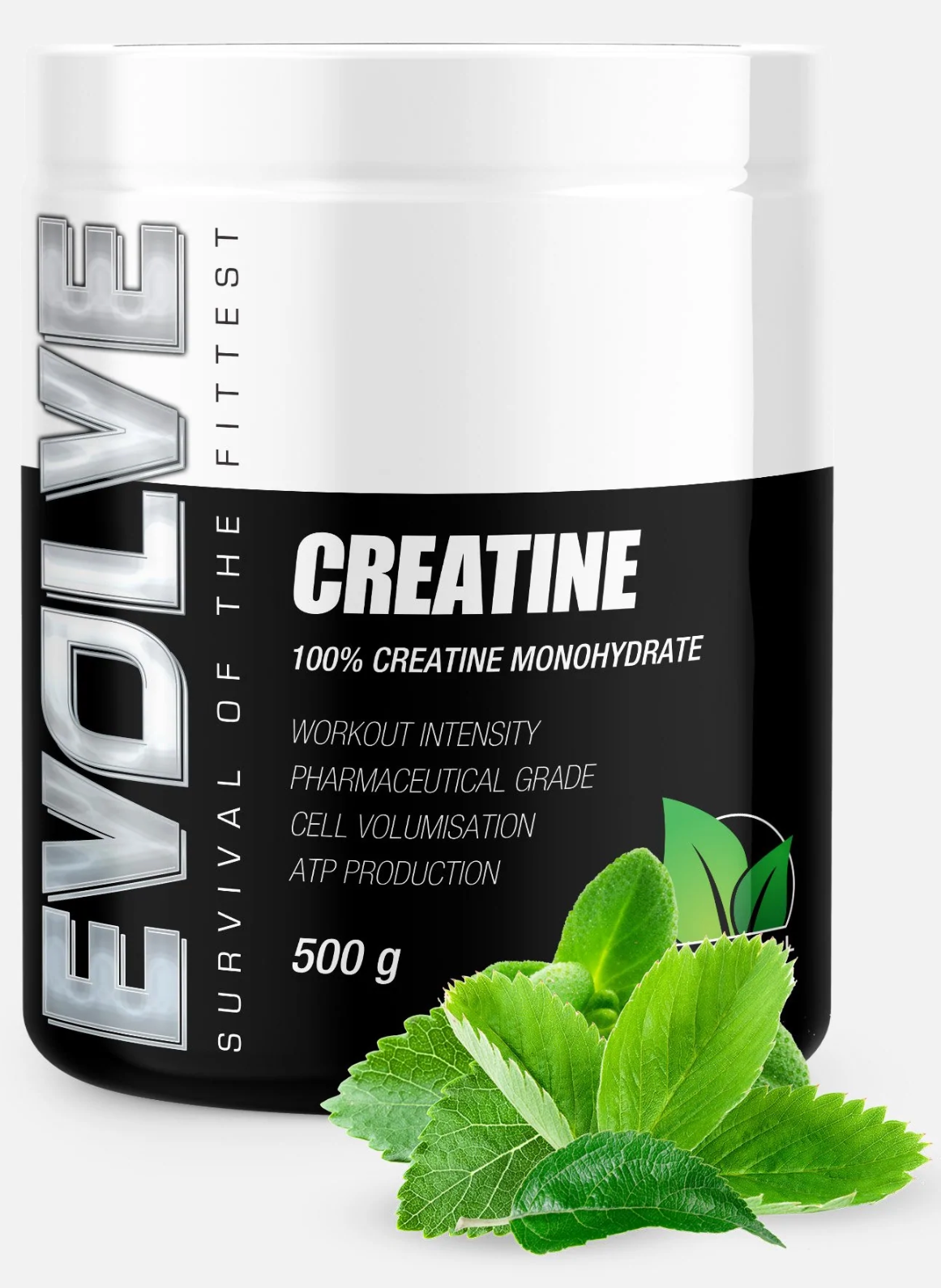 Evolve Creatine 500g