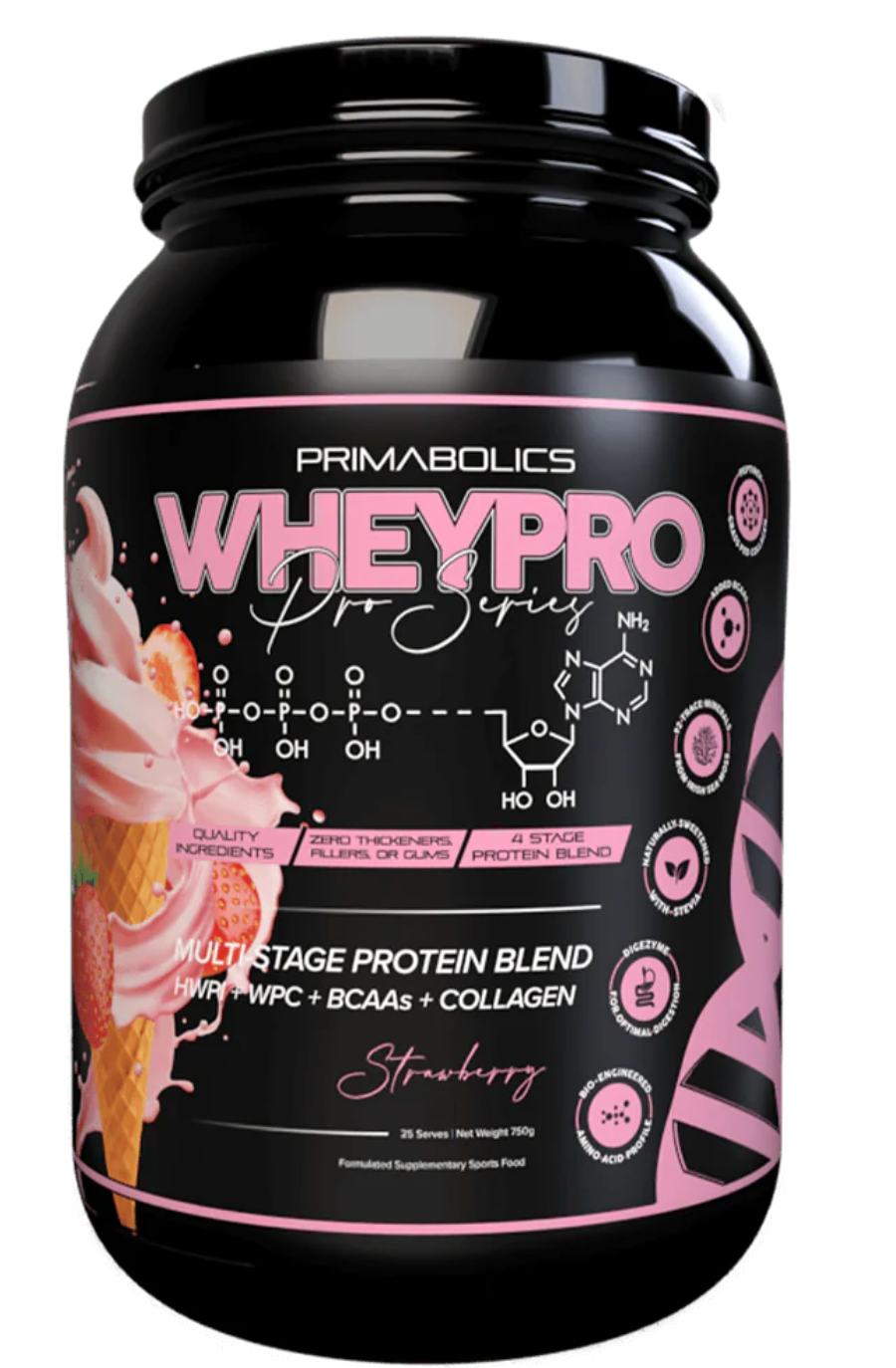 Protein Powder